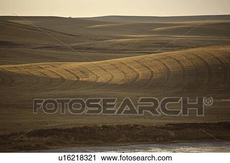 coteau, lighting, missouri, hills, rolling, low View Large Photo Image Stock Image - coteau, lighting, missouri, hills, rolling, low. Fotosearch