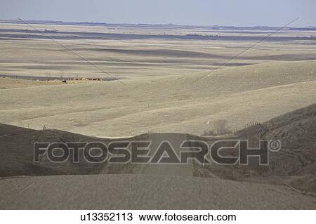 coteau, road, missouri, out, coming, gravel View Large Photo Image Stock Image - coteau, road, missouri, out, coming, gravel. Fotosearch