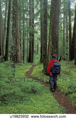 county, released, trail, road, backpacking, model View Large Photo Image Stock Image - county, released, trail, road, backpacking, model. Fotosearch