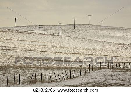 covered, poles, snow, fence, barbedwire, telephone View Large Photo Image Stock Photography - covered, poles, snow, fence, barbedwire, telephone. Fotosearch