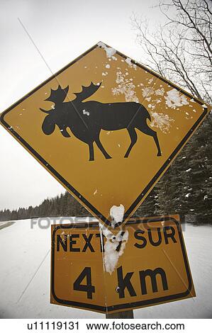 crossing, road, sign, warning, moose View Large Photo Image Stock Image - crossing, road, sign, warning, moose. Fotosearch