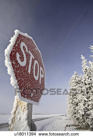 Picture - crystals, frost, ice, white, refers, hoar. Fotosearch