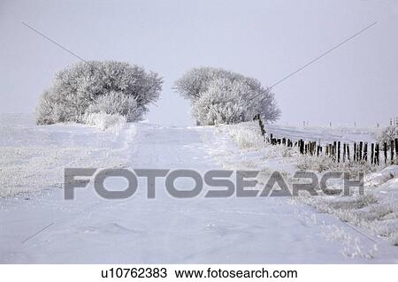 Stock Image - crystals, frost, ice, white, refers, hoar. Fotosearch