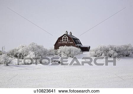 crystals, frost, ice, white, refers, hoar View Large Photo Image Stock Image - crystals, frost, ice, white, refers, hoar. Fotosearch