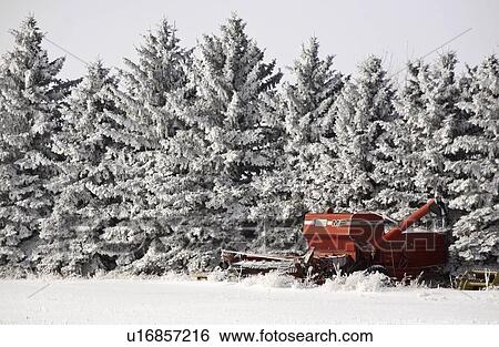 crystals, frost, ice, white, refers, hoar View Large Photo Image Stock Photograph - crystals, frost, ice, white, refers, hoar. Fotosearch