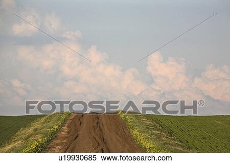Stock Photography - currents, clouds, convention, severe, contain, cumulonimbus. Fotosearch
