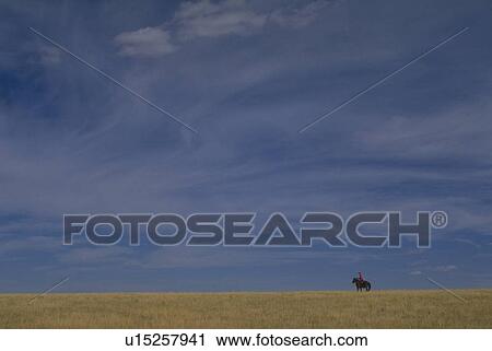 dakota, horse, south, badlands, horizon, cowboy View Large Photo Image Stock Image - dakota, horse, south, badlands, horizon, cowboy. Fotosearch