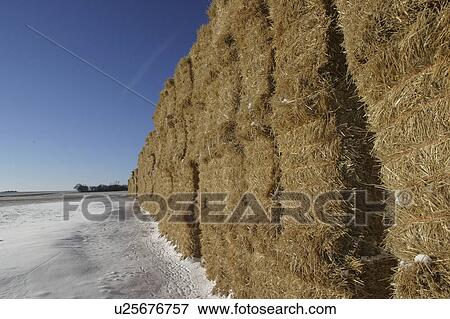 Stock Photo - field, straw, stubble, snowcovered, bales, stacked. Fotosearch