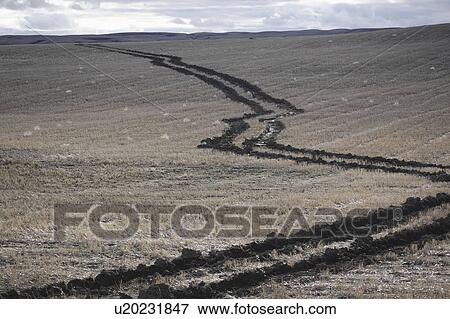 Stock Photo - field, tire, muddy, through, tracks, tractor. Fotosearch