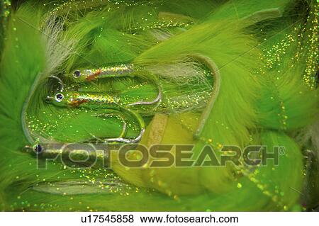 Stock Photo - flies, tackle, fishing, fly, green. Fotosearch