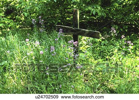 Stock Photo - flowers, wooden, wild, nestled, cross, rough. Fotosearch
