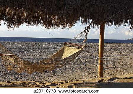 fun, architecture, freedom, enjoying, beach, america View Large Photo Image Stock Photo - fun, architecture, freedom, enjoying, beach, america. Fotosearch