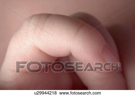 girl, released, infant, finger, pinky, model View Large Photo Image Stock Photo - girl, released, infant, finger, pinky, model. Fotosearch