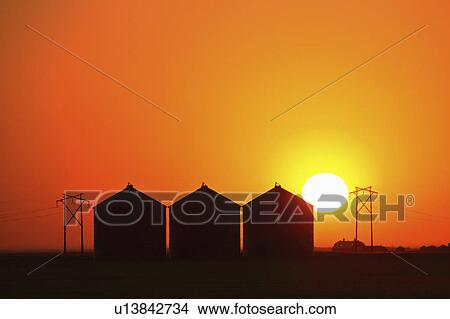 Picture - granaries, setting, metal, saskatchewan, behind, sun. Fotosearch