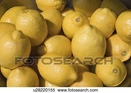 grand, lemons, juice, made, ready, bunch View Large Photo Image Stock Photography - grand, lemons, juice, made, ready, bunch. Fotosearch