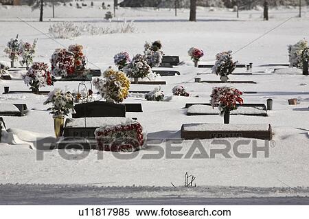 Stock Photography - graves, moose, cemetary, winter, flowers. Fotosearch