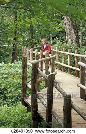 Stock Image - green, released, canada, prince, forest, model. Fotosearch