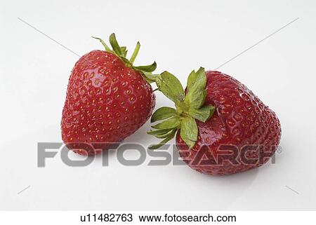 Stock Image - having, lowgrowing, fragaria, genus, plants, various. Fotosearch