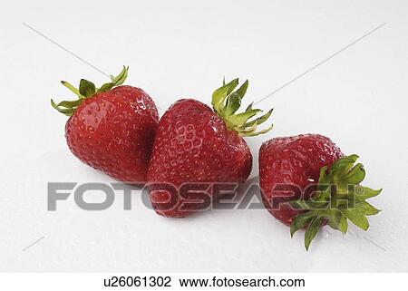 having, lowgrowing, fragaria, genus, plants, various View Large Photo Image Stock Image - having, lowgrowing, fragaria, genus, plants, various. Fotosearch