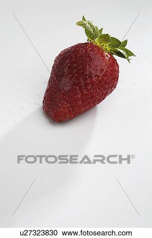 Stock Image - having, lowgrowing, fragaria, genus, plants, various. Fotosearch