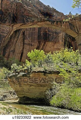 hiker, natural, tourism, utah, bridge, escalante View Large Photo Image Stock Image - hiker, natural, tourism, utah, bridge, escalante. Fotosearch