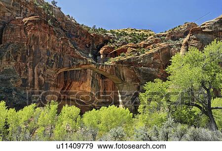 Stock Photo - hiker, natural, tourism, utah, bridge, escalante. Fotosearch
