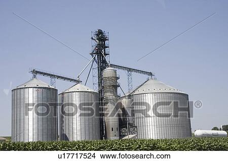hillsboro, capacity, storage, grain, silos, large View Large Photo Image Picture - hillsboro, capacity, storage, grain, silos, large. Fotosearch