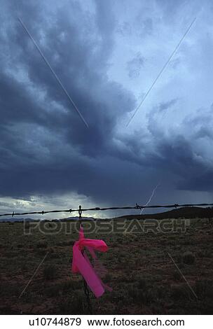 Stock Photo - hispanic, ribbon, mexico, new, lightning, pink. Fotosearch