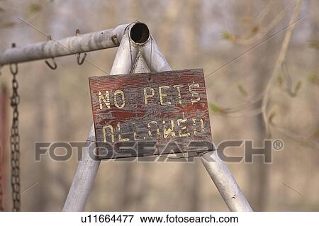 Stock Photo - lake, children, oro, swing, kids, sign. Fotosearch