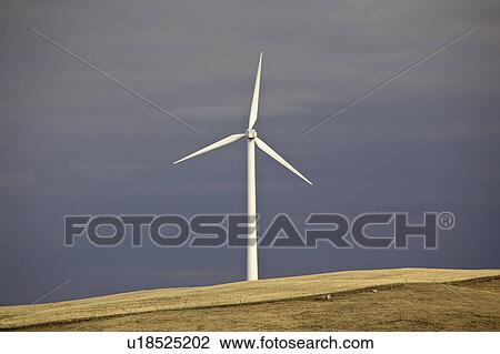 Stock Image - lake, electricity, gull, southwest, generator, windmill. Fotosearch