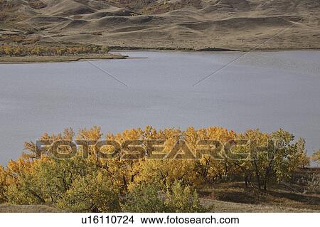 Picture - lake, shore, north, diefenbakers, autumn. Fotosearch