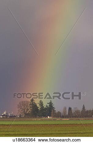 Picture - land, rainbow, mt, mount, rain, county. Fotosearch