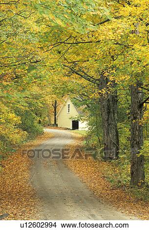 lane, usa, vt, end, autumn, forest View Large Photo Image Picture - lane, usa, vt, end, autumn, forest. Fotosearch