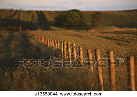 line, lighting, fence, sun, setting, low View Large Photo Image Picture - line, lighting, fence, sun, setting, low. Fotosearch