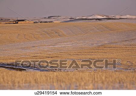 Picture - low, scene, canada, saskatchewan, scenic, winter. Fotosearch
