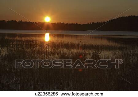 Stock Photograph - lynx, northern, scenic, lake, sunrise. Fotosearch