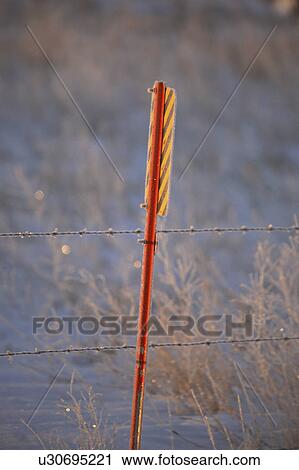 morning, sign, winter, wire, barbed, frost View Large Photo Image Stock Image - morning, sign, winter, wire, barbed, frost. Fotosearch