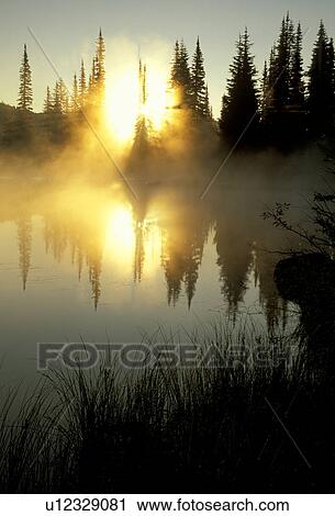 mount, park, lewis, fog, reflective, morning View Large Photo Image Stock Image - mount, park, lewis, fog, reflective, morning. Fotosearch
