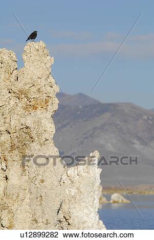 Stock Image - mountains, lake, nevada, sierra, tufas, mono. Fotosearch
