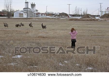 mule, girl, herd, small, approaching, young View Large Photo Image Stock Image - mule, girl, herd, small, approaching, young. Fotosearch