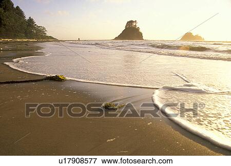 Stock Photo - national, pacific, county, cape, coastline, wave. Fotosearch