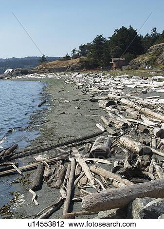 Stock Image - next, lighthouse, fisgard, beach. Fotosearch