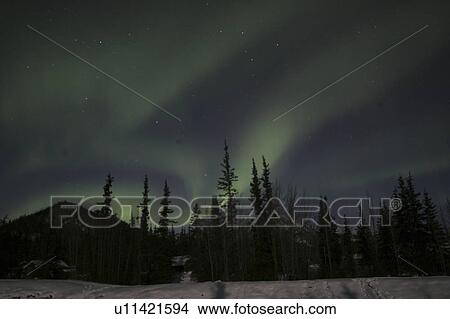 Picture - northern, borealis, alaska, ak, wiseman, aurora. Fotosearch