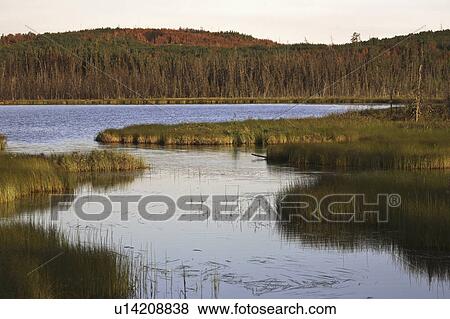 northern, lake, scenic, 914, hwy, picturesque View Large Photo Image Stock Photo - northern, lake, scenic, 914, hwy, picturesque. Fotosearch