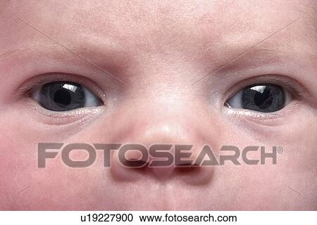 nose, released, eyes, up, close, model View Large Photo Image Stock Image - nose, released, eyes, up, close, model. Fotosearch