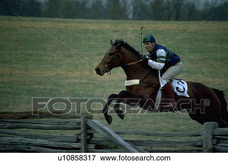 Stock Photo - oatlands, jumping, races, point, riders, jumpers. Fotosearch