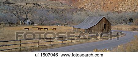 park, farm, panoramic, fruita, tourism, barn View Large Photo Image Stock Photograph - park, farm, panoramic, fruita, tourism, barn. Fotosearch