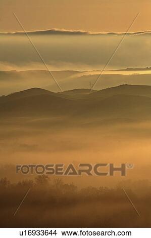 Picture - park, fog, provincial, pound, buffalo, morning. Fotosearch