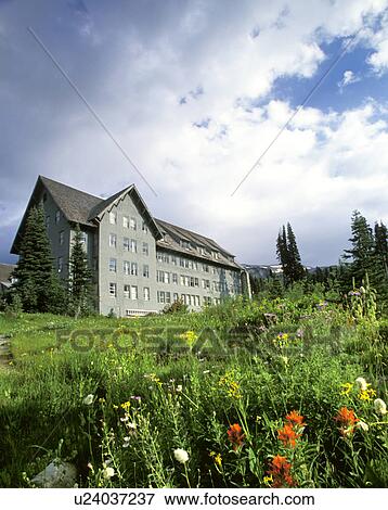 Stock Photo - park, lodge, national, rainier, mt, paradise. Fotosearch