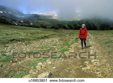 park, released, trail, mountain, backpacking, model View Large Photo Image Stock Image - park, released, trail, mountain, backpacking, model. Fotosearch